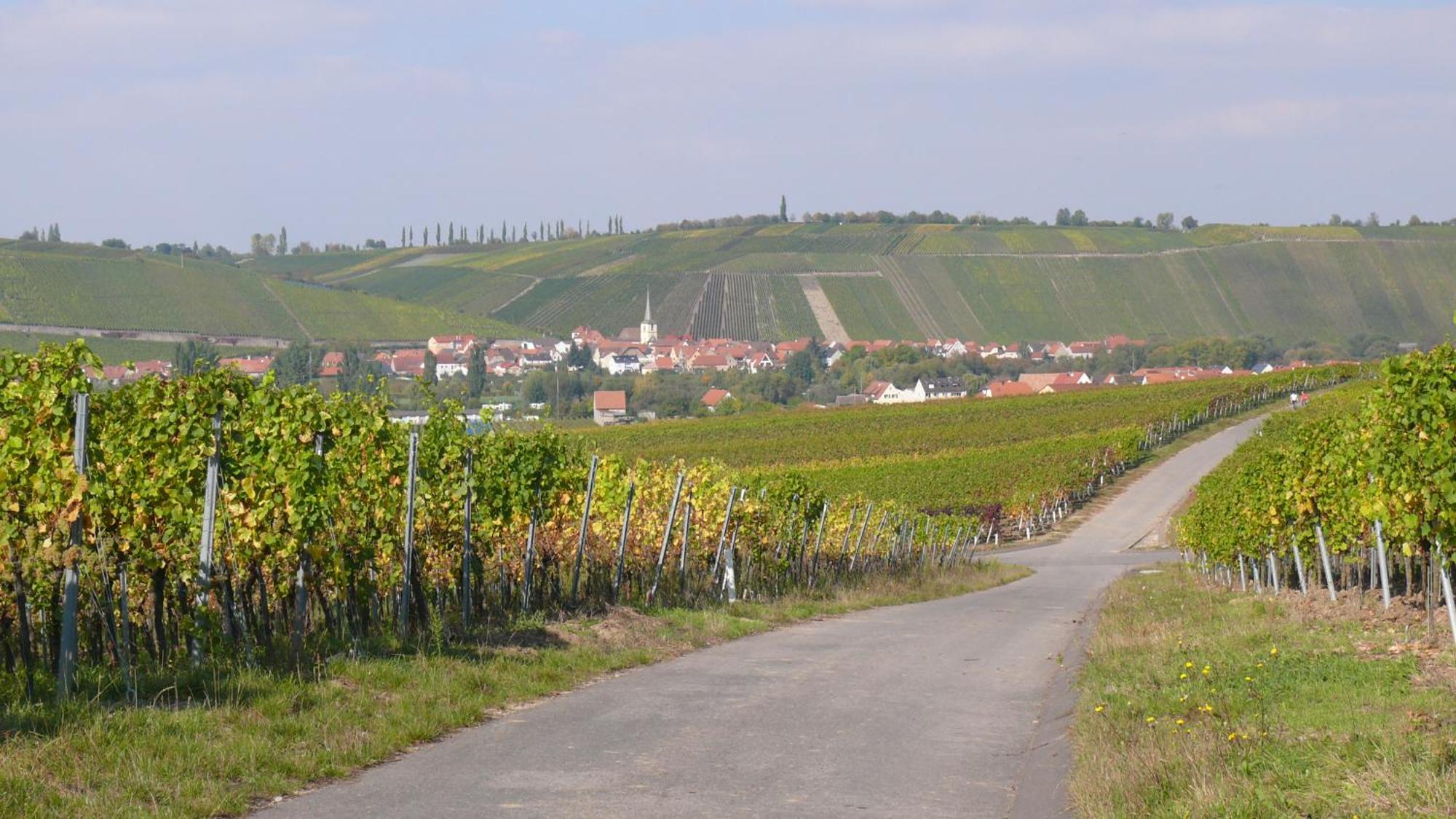 Weingut Herbert Kram Nordheim am Main Exterior photo