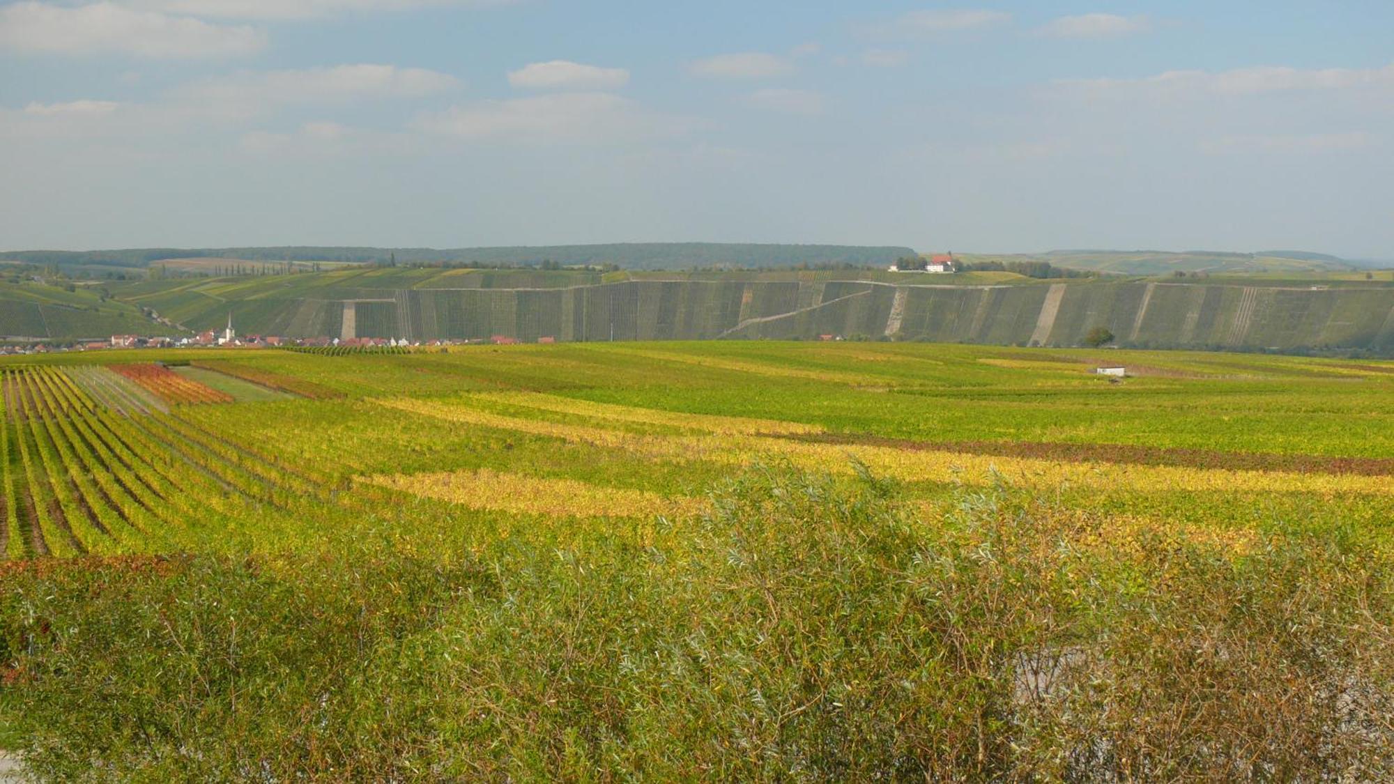 Weingut Herbert Kram Nordheim am Main Exterior photo